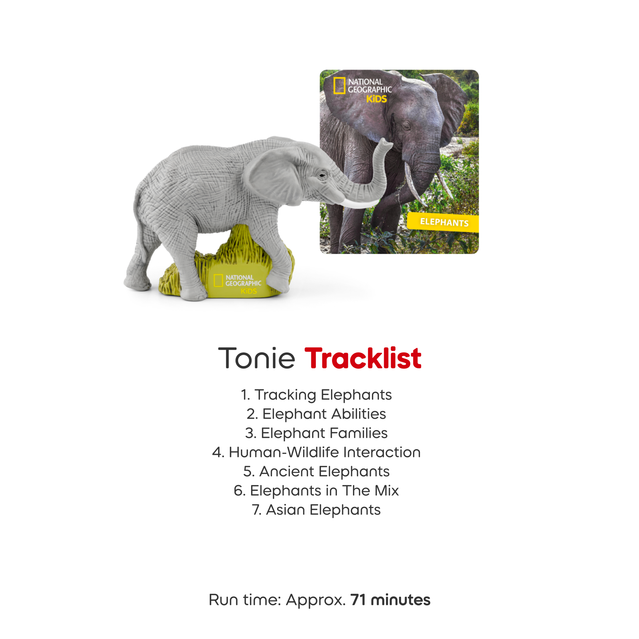 National Geographic Kids: Elephants Tonie - FAO Schwarz